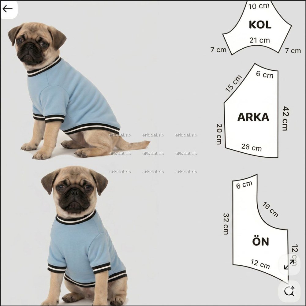 OZ-DOG-1001